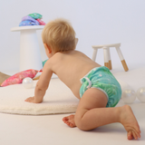 'Earth' OSFM Reusable Swim Nappy