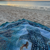 Ningaloo Dreaming Woven Rug